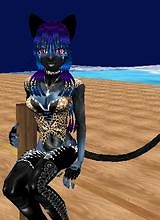 Blue Kitty