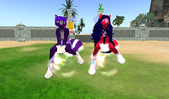 Bubble Kittie and Me