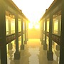 Forbidden City - Ravenelle Zugzwang