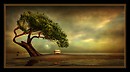 The place of cleansing
