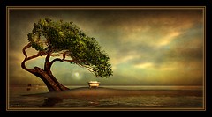 The place of cleansing