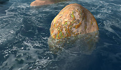 Tidal Swirl