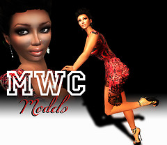 MWC MOdels