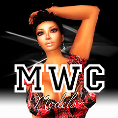 models3