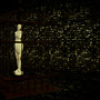 The Caged Lady
