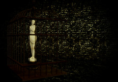 The Caged Lady