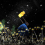The Milky Way