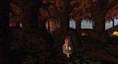 in the wood
