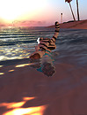 Swimming Into The Sunset