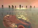 Snapshot_506