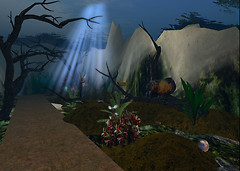 aquairum lake_Mermish Bella Aquarium