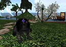 Techwolf, Si-Fi Bounty Hunter - Erika Wemyss