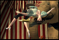 Mikos Big Top