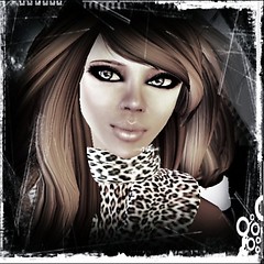 Wild Me