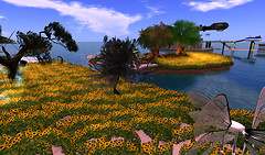 C4u Gallery, sunflower_003