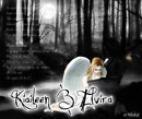darkforest copia