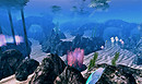 Daragor ~ Reef