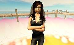 Villemo Inglewood helps translate video tutorials into Polish - Torley Linden