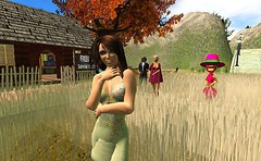 field of polish dreams - Torley Linden