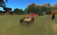 really peaceful sitting on the back of this wagon cart - Torley Linden