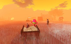 orange yellow peach skies - Torley Linden