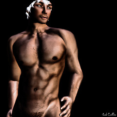 Ilan 2009