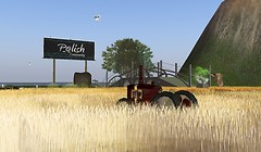 Second Life Polish Community - Koinup Burt
