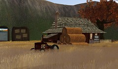 Second Life Polish - Koinup Burt