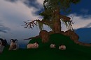 Ent by papadapoulos Barzane - Ravenelle Zugzwang