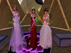 miss tropic 2 copy