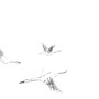 soar - Ravenelle Zugzwang