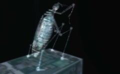 what a cool cyber glow bug - Torley Olmstead