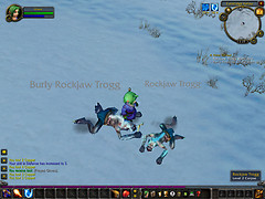WoWScrnShot_020709_132607