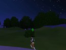 A jog at night