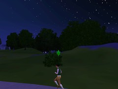 A jog at night