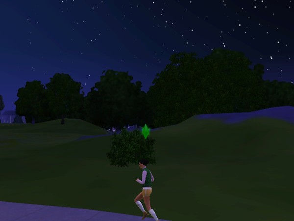A jog at night