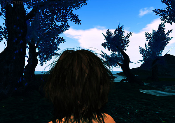 Stranger In a Forest 04