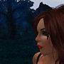 Stranger In a Forest 02