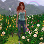 Flower Garden