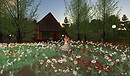 Magic garden_035