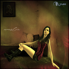 İn the room XD