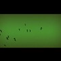 Little Stick People on Green - Ravenelle Zugzwang