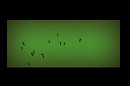 Little Stick People on Green - Ravenelle Zugzwang