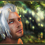 listenting to the trees