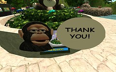 when i bought this a monkey head said "thank you!" - Torley Linden