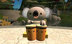 cute lil' koala plays the bongos - Torley Linden