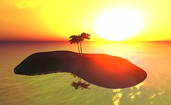 palm tree on an island - Torley Linden