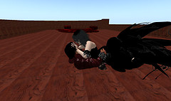 ayla building_009