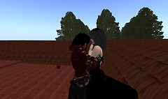 ayla building_007