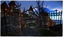 Kurotsubaki beyond the gates